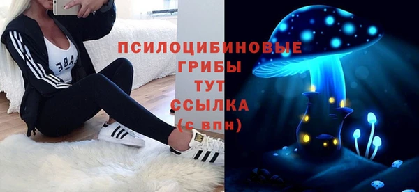 молекула духа Аркадак