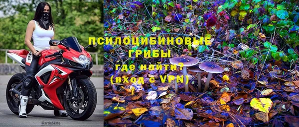 молекула духа Аркадак