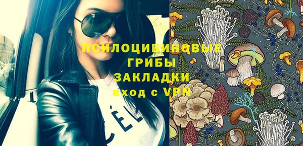 молекула духа Аркадак