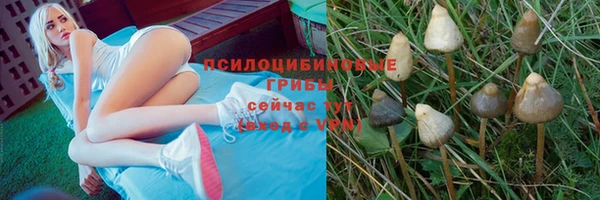 молекула духа Аркадак