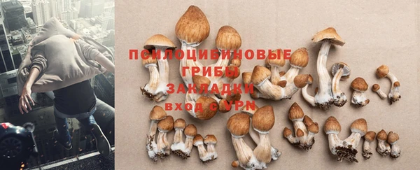 молекула духа Аркадак