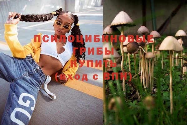 молекула духа Аркадак